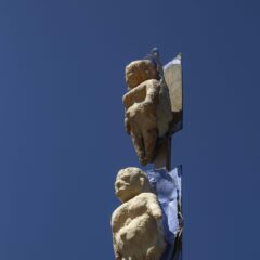 IMG_4377