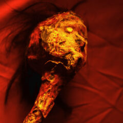 neck_dt2_edit